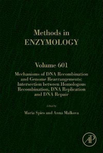 Cover for Maria Spies · Mechanisms of DNA Recombination and Genome Rearrangements: Intersection Between Homologous Recombination, DNA Replication and DNA Repair (Gebundenes Buch) (2018)