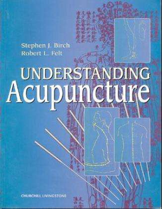 Cover for Stephen Birch · Understanding Acupuncture (Paperback Book) (1999)