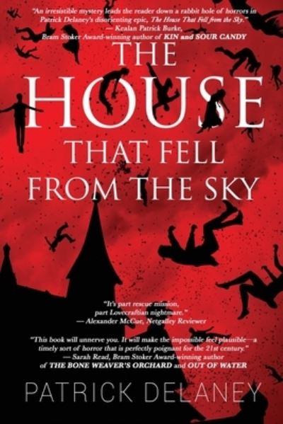 Cover for Patrick Delaney · The House that fell from the Sky (Paperback Book) (2020)