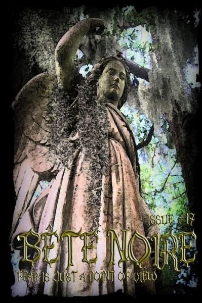 Cover for Various Authors · Bete Noire Issue #17 (Taschenbuch) (2014)