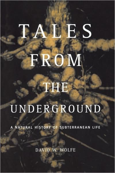 Cover for David Wolfe · Tales From The Underground: A Natural History Of Subterranean Life (Paperback Book) (2002)