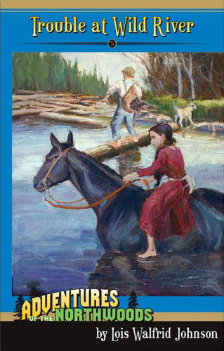 Cover for Lois Walfrid Johnson · Trouble at Wild River (Adventures of the Northwoods (Mott Media Paperback)) (Paperback Book) [0002- edition] (2009)