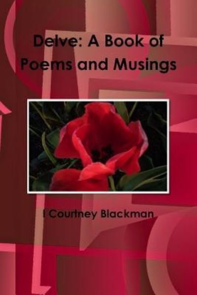 Cover for I Courtney Blackman · Delve (Pocketbok) (2018)