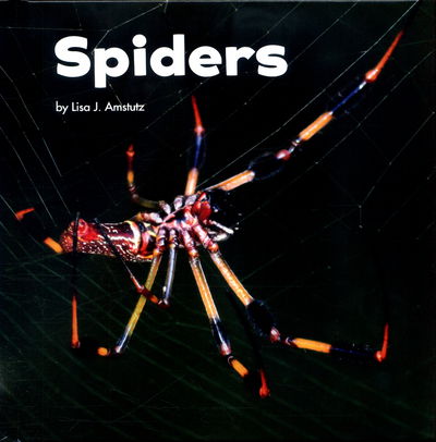 Cover for Lisa J. Amstutz · Spiders - Little Critters (Hardcover Book) (2017)