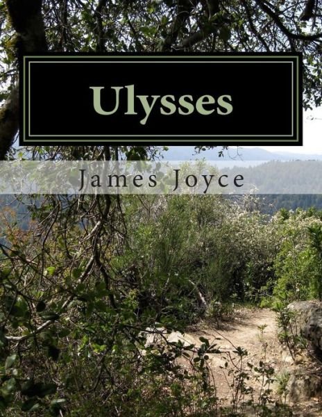 Ulysses - James Joyce - Bücher - Createspace - 9781480054790 - 5. Oktober 2012