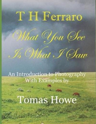 Cover for Th Ferraro · What You See Is What I Saw (Taschenbuch) (2018)