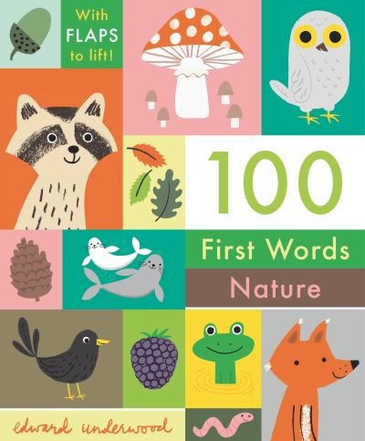 Cover for Nosy Crow · 100 First Words (Bok) (2023)
