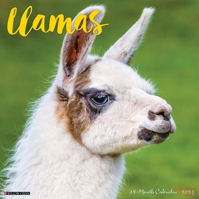 Willow Creek Press · Llamas 2025 12 X 12 Wall Calendar (Kalender) (2024)