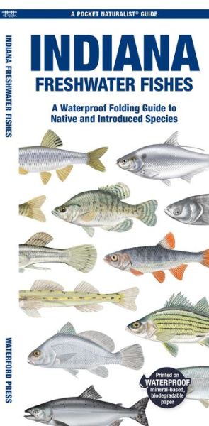 Cover for Morris, Matthew, Waterford Press · Indiana Freshwater Fishes: A Folding Guide to Native and Introduced Species - Pocket Naturalist Guide (Pamphlet) (2024)