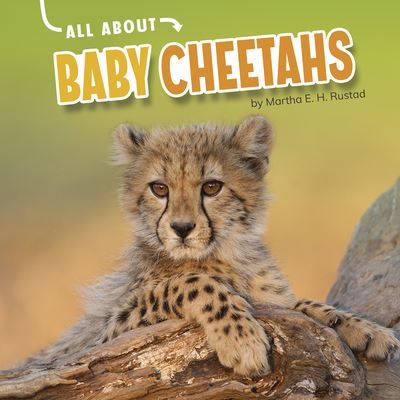 Cover for Martha E H Rustad · All about Baby Cheetahs (Hardcover Book) (2021)