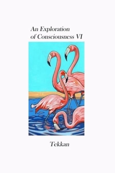 An Exploration of Consciousness VI - Tekkan - Books - Barry MacDonald - 9781736353790 - March 6, 2022
