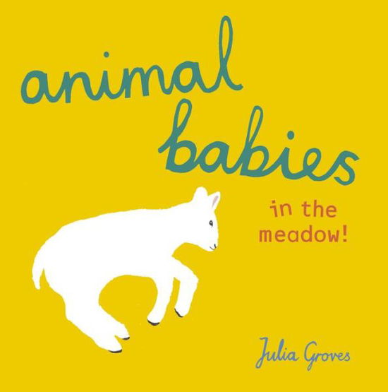 Animal Babies in the meadow! - Animal Babies - Julia Groves - Böcker - Child's Play International Ltd - 9781846438790 - 1 juli 2016