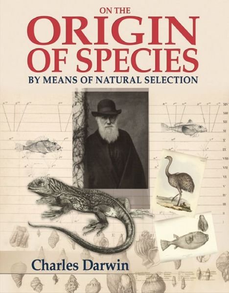 On the Origin of Species - Charles Darwin - Boeken - Arcturus Publishing Ltd - 9781848588790 - 15 oktober 2012