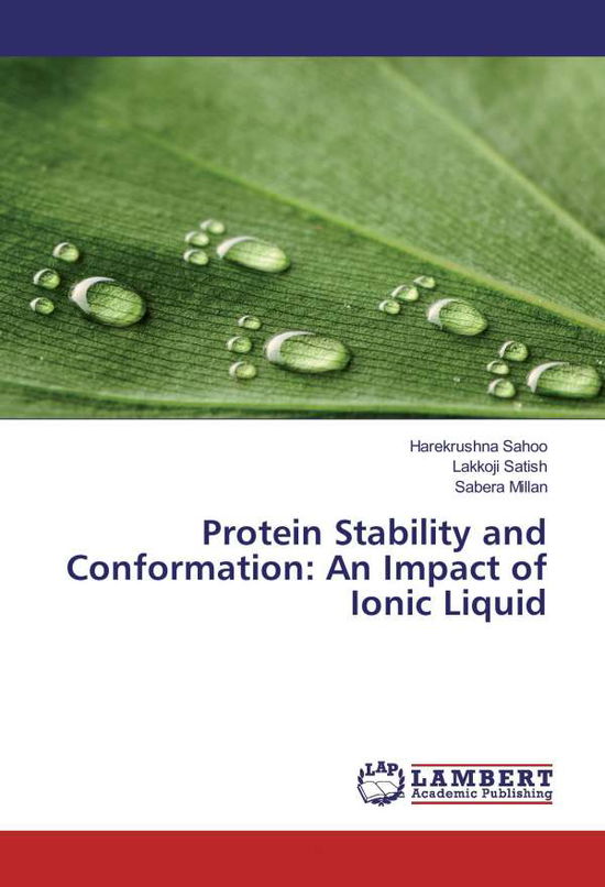 Cover for Sahoo · Protein Stability and Conformatio (Book)