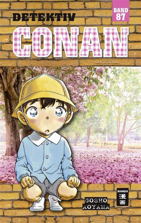 Cover for Aoyama · Detektiv Conan.87 (Bok)