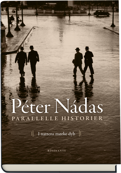 Cover for Peter Nadas · Parallelle historier 2 (Gebundesens Buch) [1. Ausgabe] (2018)