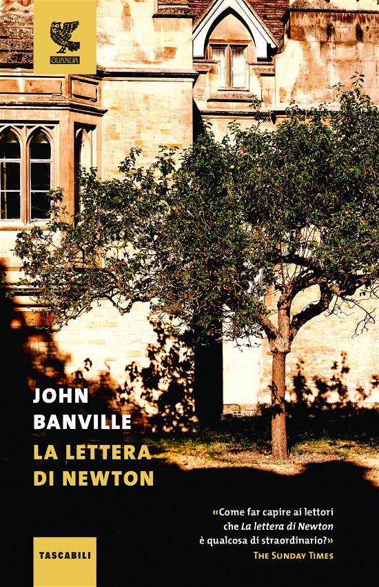 Cover for John Banville · La Lettera Di Newton (Book)