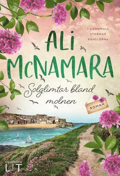 Cover for Ali McNamara · Solglimtar bland molnen (Bound Book) (2023)