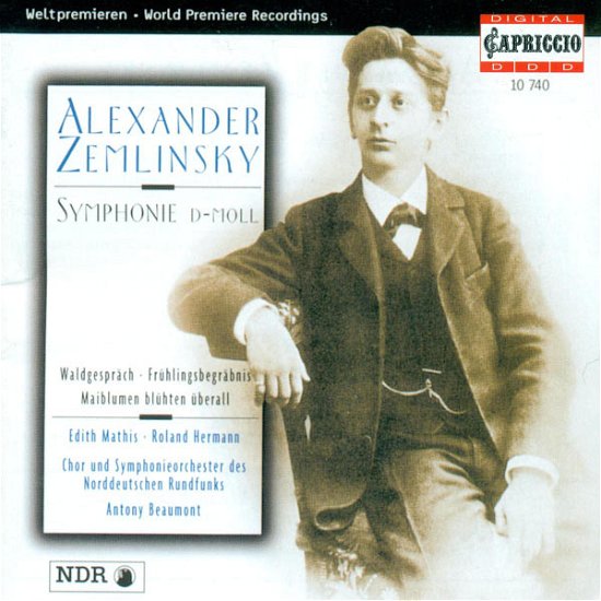 Cover for Zemlinsky / Beaumont / North German Radio So · Symphony in D Minor / Fruhlingsbegrabnis (CD) (1997)