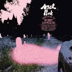 Cover for Ariel Pink · Dedicated to Bobby Jameson (CD) [Japan Import edition] (2019)