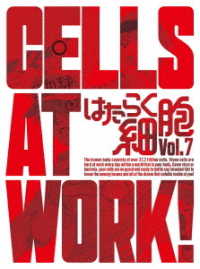 Cover for Shimizu Akane · Cells at Work! Vol.7 &lt;limited&gt; (MDVD) [Japan Import edition] (2019)