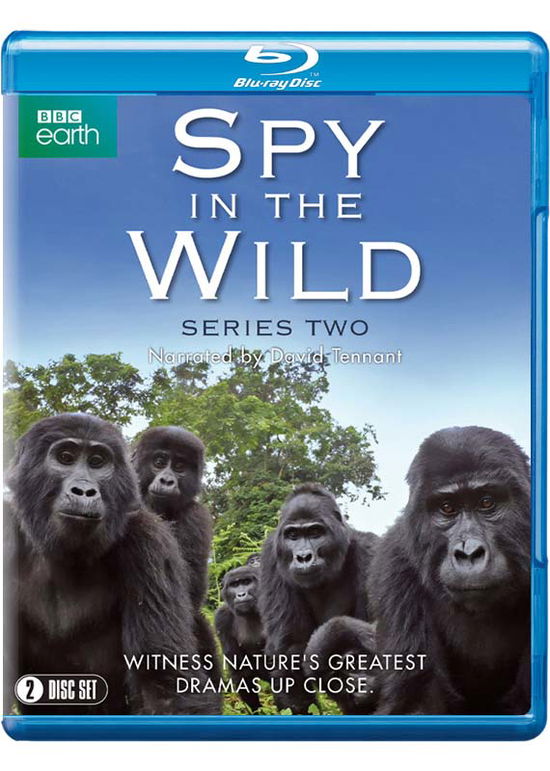 Cover for Spy In The Wild: Series 2 (Blu-Ray) (2020)