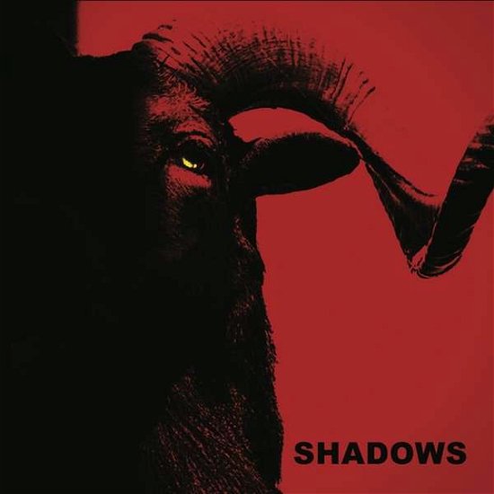 Cover for Shadows (LP) (2021)