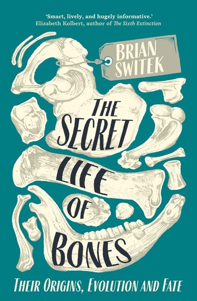 Cover for Brian Switek · The Secret Life of Bones: Their Origins, Evolution and Fate (Paperback Book) (2019)