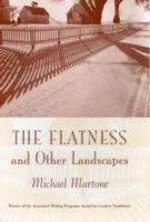 Cover for Michael Martone · The Flatness and Other Landscape (Paperback Book) (2003)