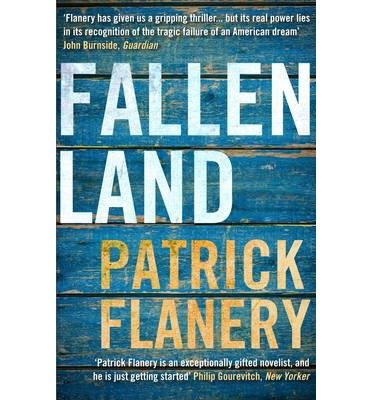 Cover for Patrick Flanery · Fallen Land (Taschenbuch) [Main edition] (2014)