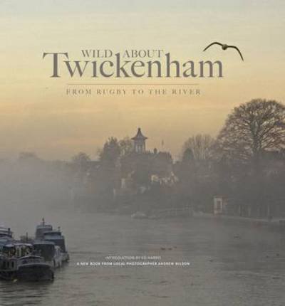 Cover for Andrew Wilson · Wild About Twickenham: From Rugby to the River (Hardcover bog) (2014)