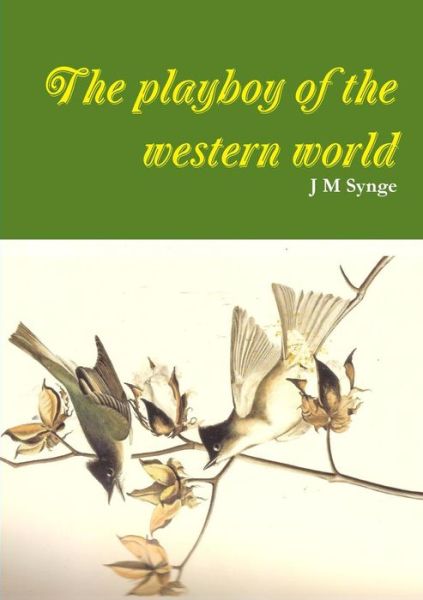 Cover for J M Synge · The Playboy of the Western World a Comedy (Paperback Book) (2014)