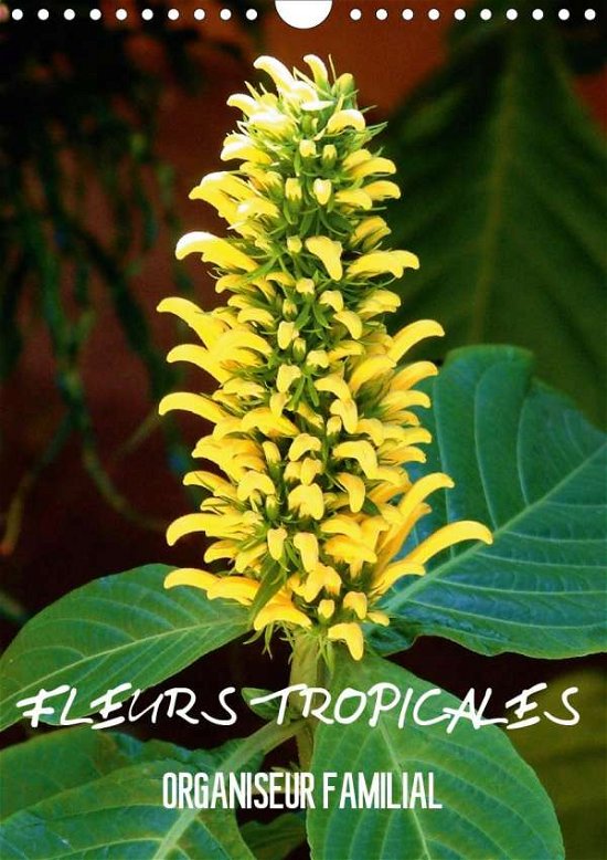 Fleurs tropicales / organiseur fa - Blank - Books -  - 9781325521791 - 