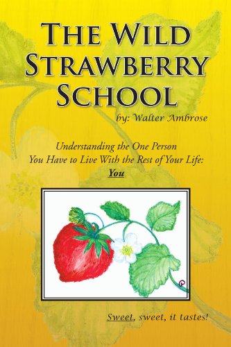Cover for Walter Ambrose · The Wild Strawberry School (Paperback Book) (2009)