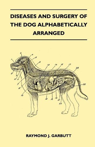 Cover for Raymond J. Garbutt · Diseases and Surgery of the Dog Alphabetically Arranged (Paperback Book) (2010)