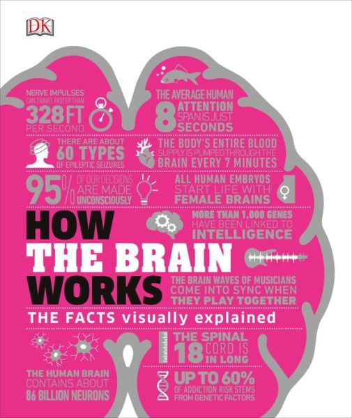 Cover for Dk · How the Brain Works: The Facts Visually Explained - DK How Stuff Works (Hardcover Book) (2020)