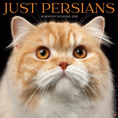 Willow Creek Press · Just Persians 2025 12 X 12 Wall Calendar (Kalender) (2024)