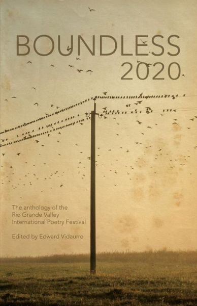 Cover for Daniel Garcia Ordaz · Boundless 2020: the official anthology of the Rio Grande Valley International Poetry Festival (Paperback Book) (2020)