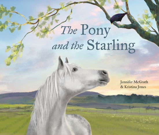 Cover for Jennifer McGrath · The Pony and the Starling (Hardcover Book) (2025)