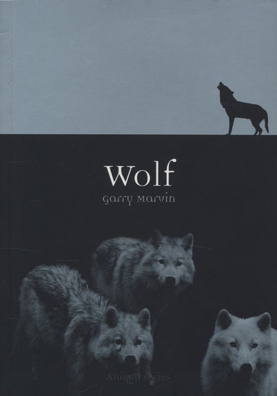 Cover for Garry Marvin · Wolf - Animal Series (Paperback Book) (2011)