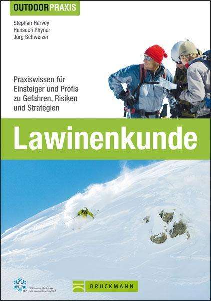 Cover for Schweizer · Lawinenkunde (Book)