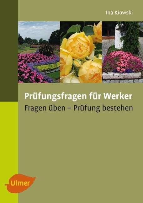 Cover for Kiowski · Prüfungsfragen für Werker (Bok)
