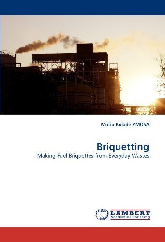 Cover for Mutiu Kolade Amosa · Briquetting: Making Fuel Briquettes from Everyday Wastes (Paperback Bog) (2010)
