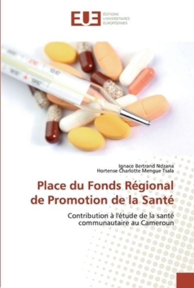 Cover for Ndzana · Place du Fonds Régional de Promo (Book) (2019)