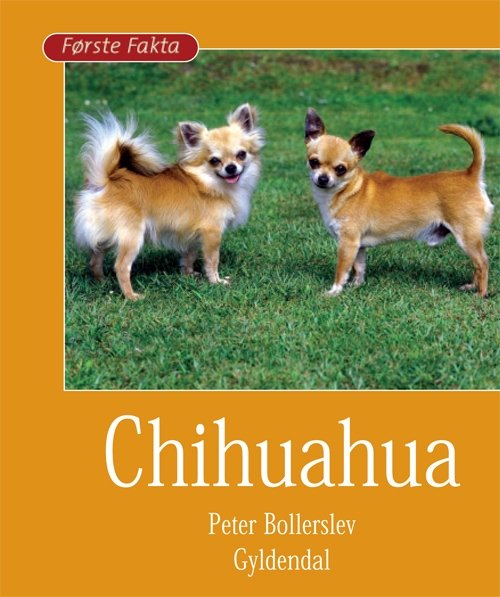 Første Fakta: Chihuahua - Peter Bollerslev - Livros - Gyldendal - 9788702066791 - 3 de agosto de 2009