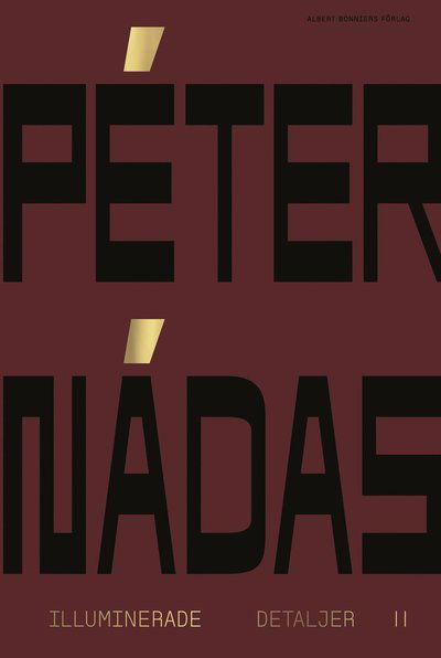 Illuminerade detaljer 2 - Peter Nádas - Livres - Albert Bonniers förlag - 9789100173791 - 24 octobre 2022