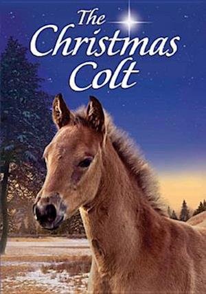 Cover for The Christmas Colt (DVD) (2013)