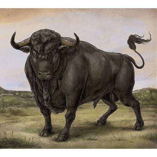 Cover for San Fermin (CD) (2013)