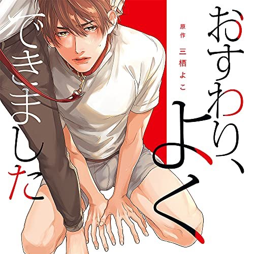 Cover for Drama CD · Osuwari, Yokudekimashita (CD) [Japan Import edition] (2021)