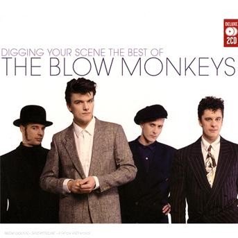 Cover for Blow Monkeys · Digging Your Scene: Best (CD) (2008)